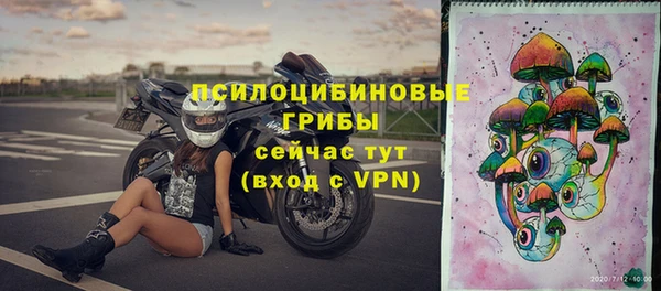 СК Красноперекопск