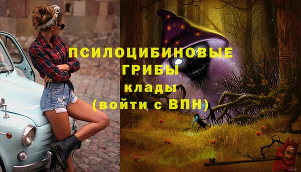 СК Красноперекопск