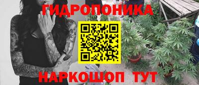 mdpv Камышлов
