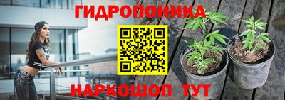 mdpv Камышлов