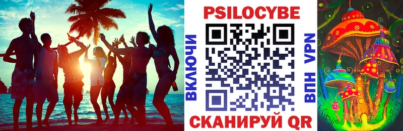 Псилоцибиновые грибы Psilocybe  Петропавловск-Камчатский 