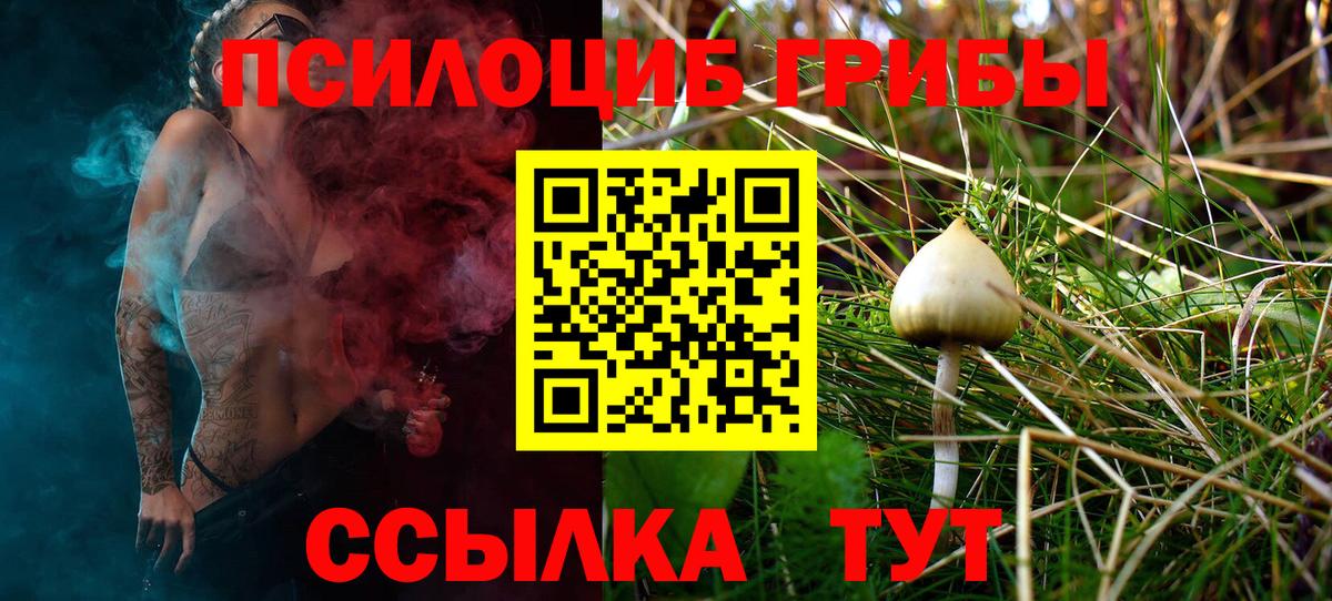 Галлюциногенные грибы Psilocybe Петропавловск-Камчатский