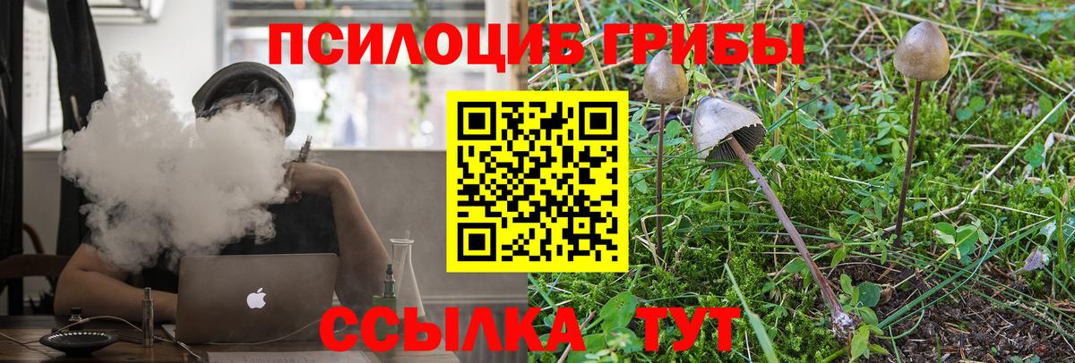 Петропавловск-Камчатский  Псилоцибиновые грибы прущие грибы  Галлюциногенные грибы мицелий  Вход с VPN 